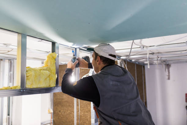 Best Commercial Insulation Services  in Ouray, CO