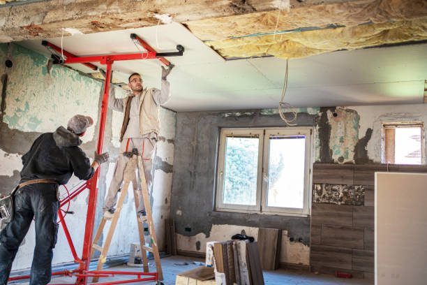 Best Crawl Space Insulation  in Ouray, CO