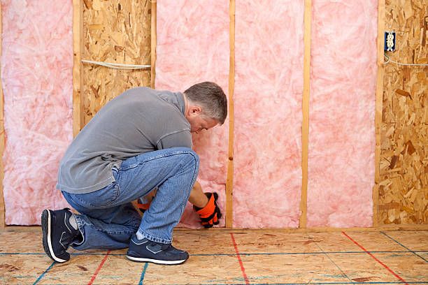 Best Attic Insulation Installation  in Ouray, CO