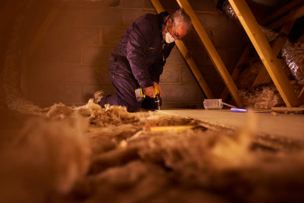 Best Blown-In Insulation  in Ouray, CO